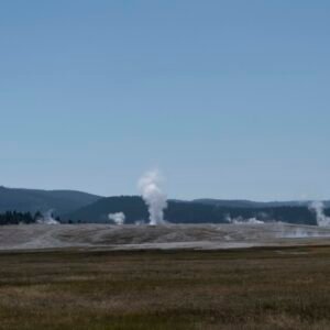Thermal Activity