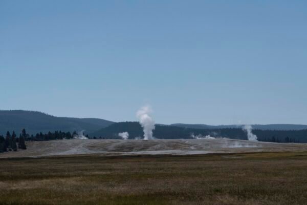 Thermal Activity