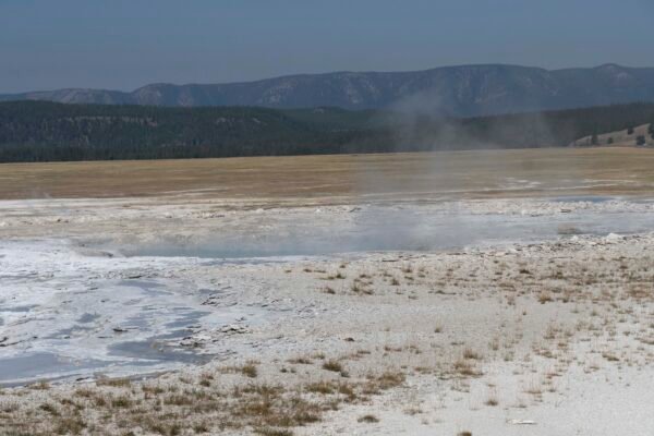 Yellowstone Landscape