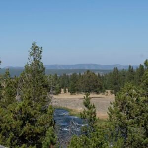 Yellowstone Landscape 2