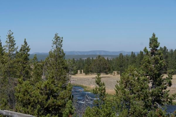 Yellowstone Landscape 2