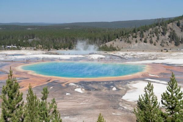 Prismatic Springs
